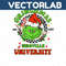 MR-vectorlab-2511231058-2122023113142.jpeg