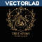 MR-vectorlab-1811231033-212202313204.jpeg