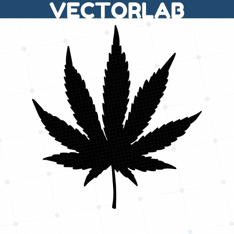 MR-vectorlab-2018504-12122023155641.jpeg