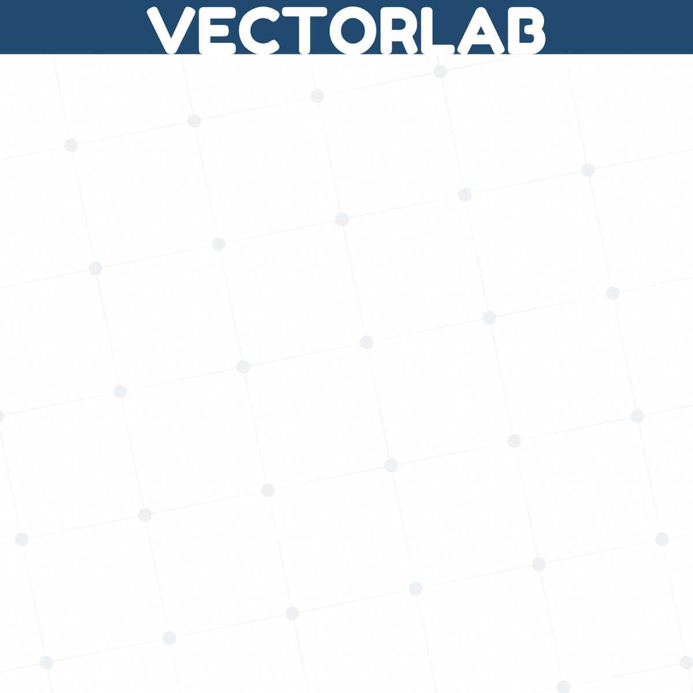 MR-vectorlab-2050194-12122023201959.jpeg