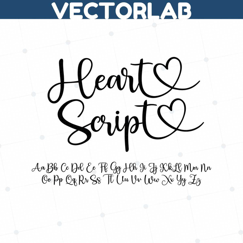 MR-vectorlab-1995019-12122023204848.jpeg