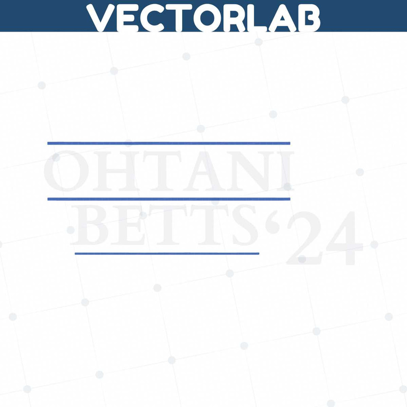 MR-vectorlab-1112231007-14122023192328.jpeg