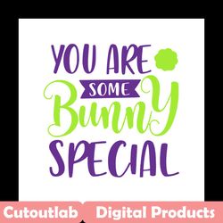 you are some bunny special svg, easter svg, trending svg, rabbit svg, bunny rabbit svg, bunny special svg, some bunny sv