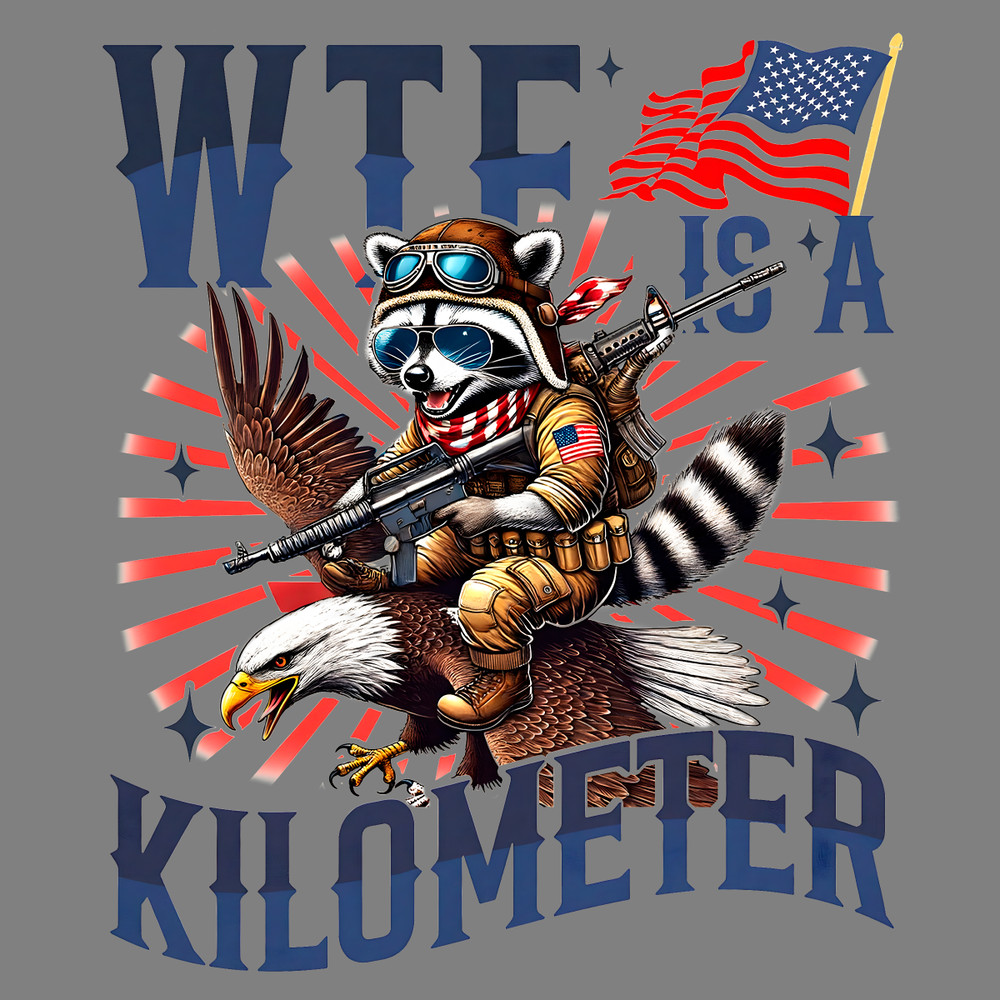 WTF-Is-A-Kilometer-Eagle-Raccoon-Meme-PNG-2406241014.png