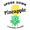 Upside-Down-Pineapple-If-You-Know-You-Know-SVG-1106241012.png