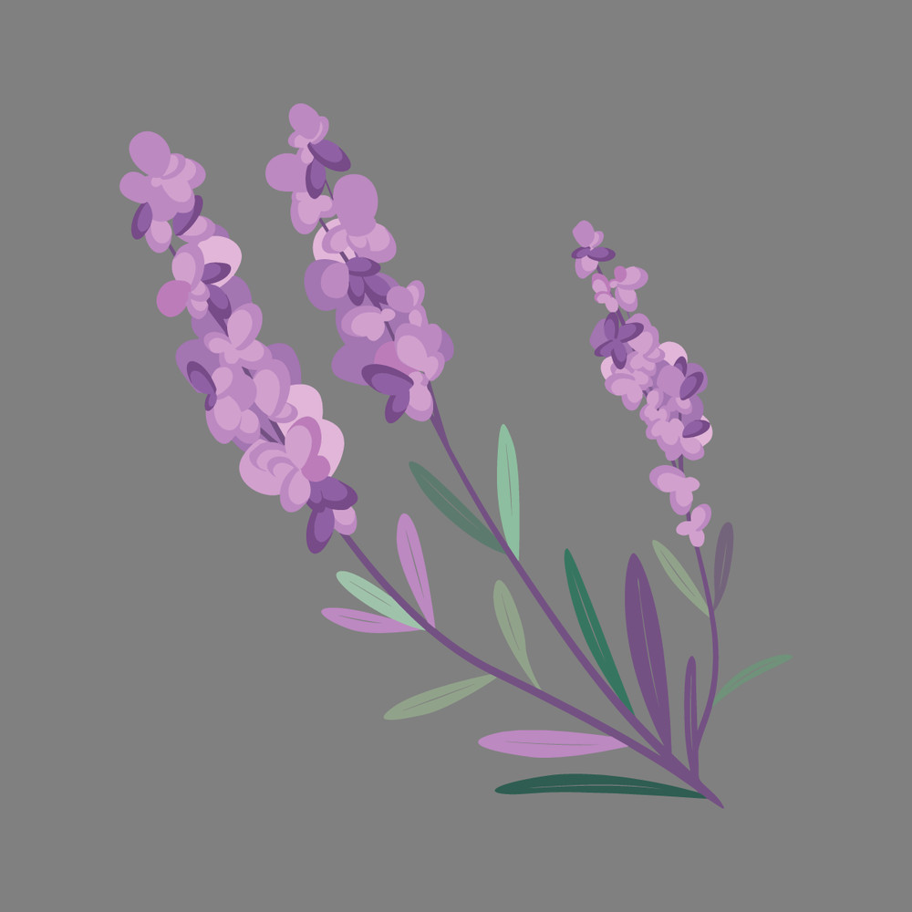 Lavender-Clipart-Lavender-Wreath-Lavender-svg-floral-clipart-wedding-clipart-2281954.png