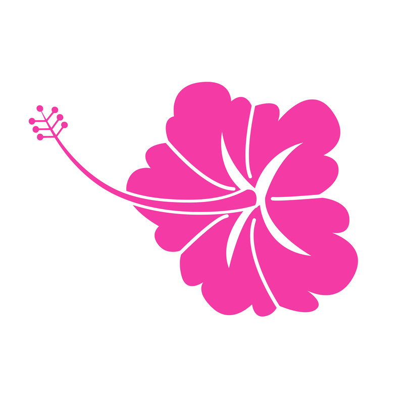 hibiscus2.png