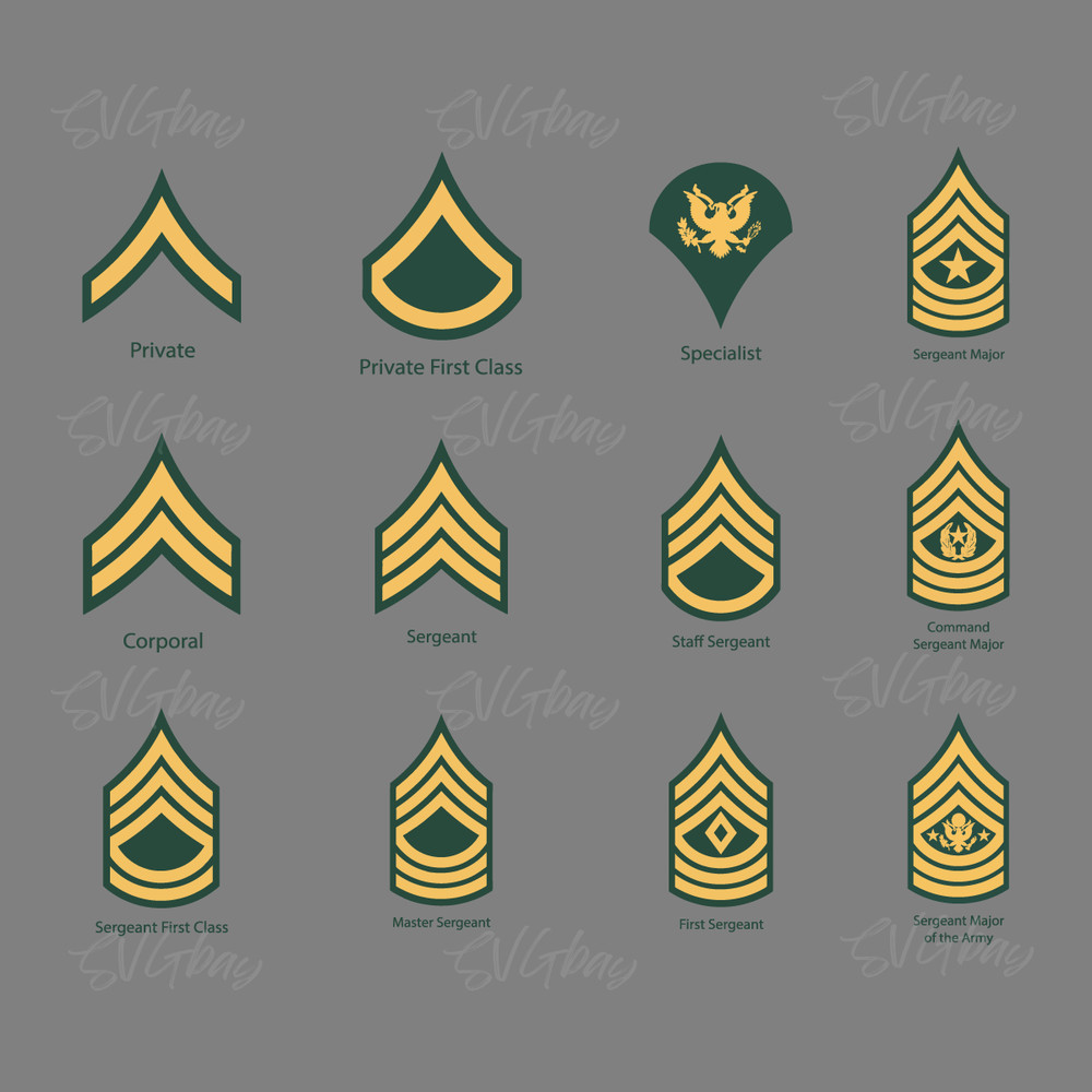 12-US-Army-Enlisted-Rank-Vectors-ai-Digital-Download-Files-1221780495.png