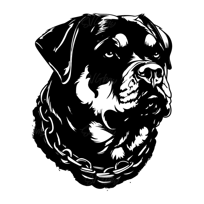 Rottweiler-Svg-Digital-Download-Files-1478462048.png