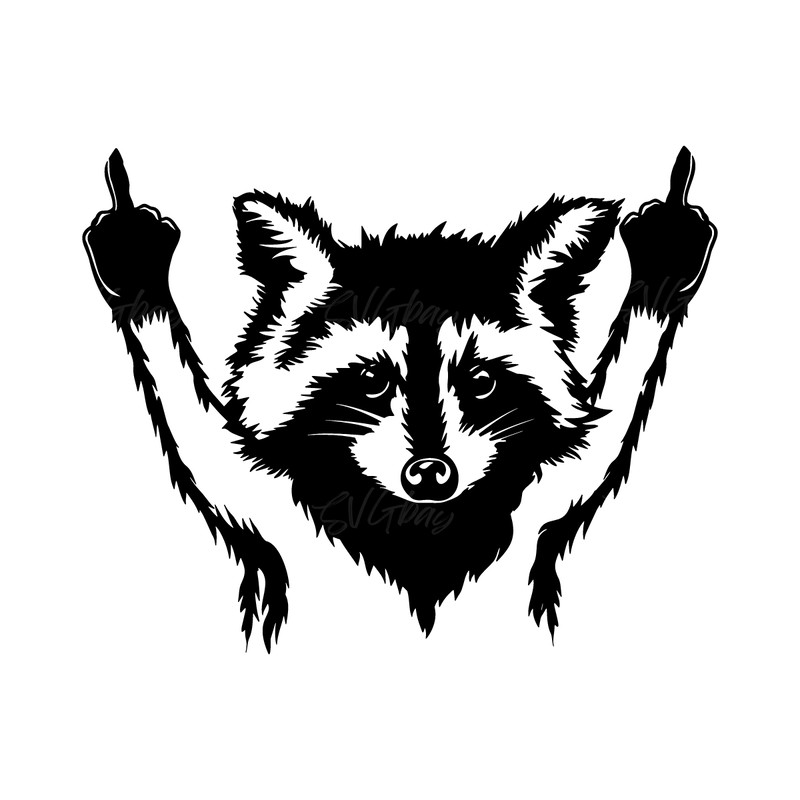 Raccoon-svg-Digital-Download-Files-2244678.png