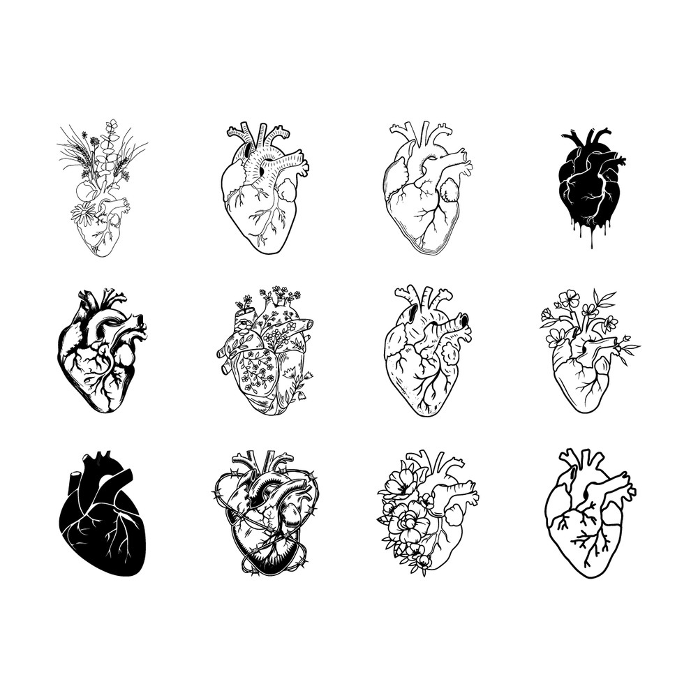 Anatomical-Heart-Digital-Download-Files-1528088253.png