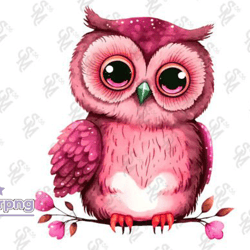 pink owl valentines day sublimation