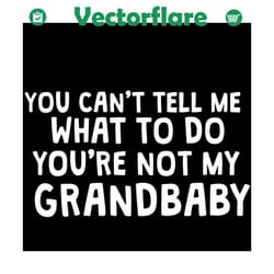 you can not tell me what to do you are not my grandbaby svg, mother day svg, grandbaby svg, grandma svg, grandpa svg, gr