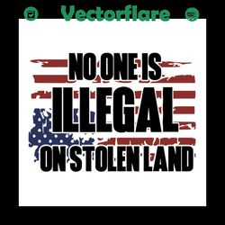 no one is illegal on stolen land,independence day,4th of july, american flag, usa flag, trending, love america,anti trum