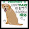 MR-vectorflare-td02112020-1612024115126.jpeg