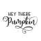hey there pumpkin (1).png