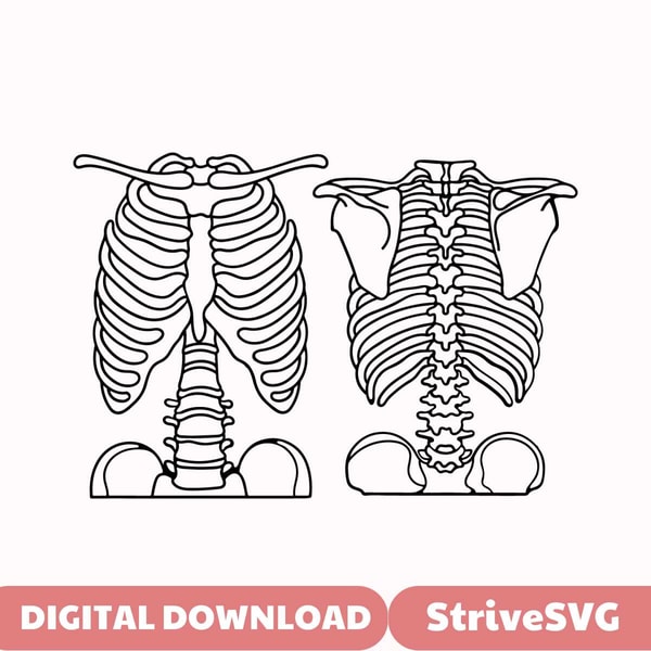 Front and back Ribcage SVG, Rib cage outline, Front Ribcage, | Inspire ...