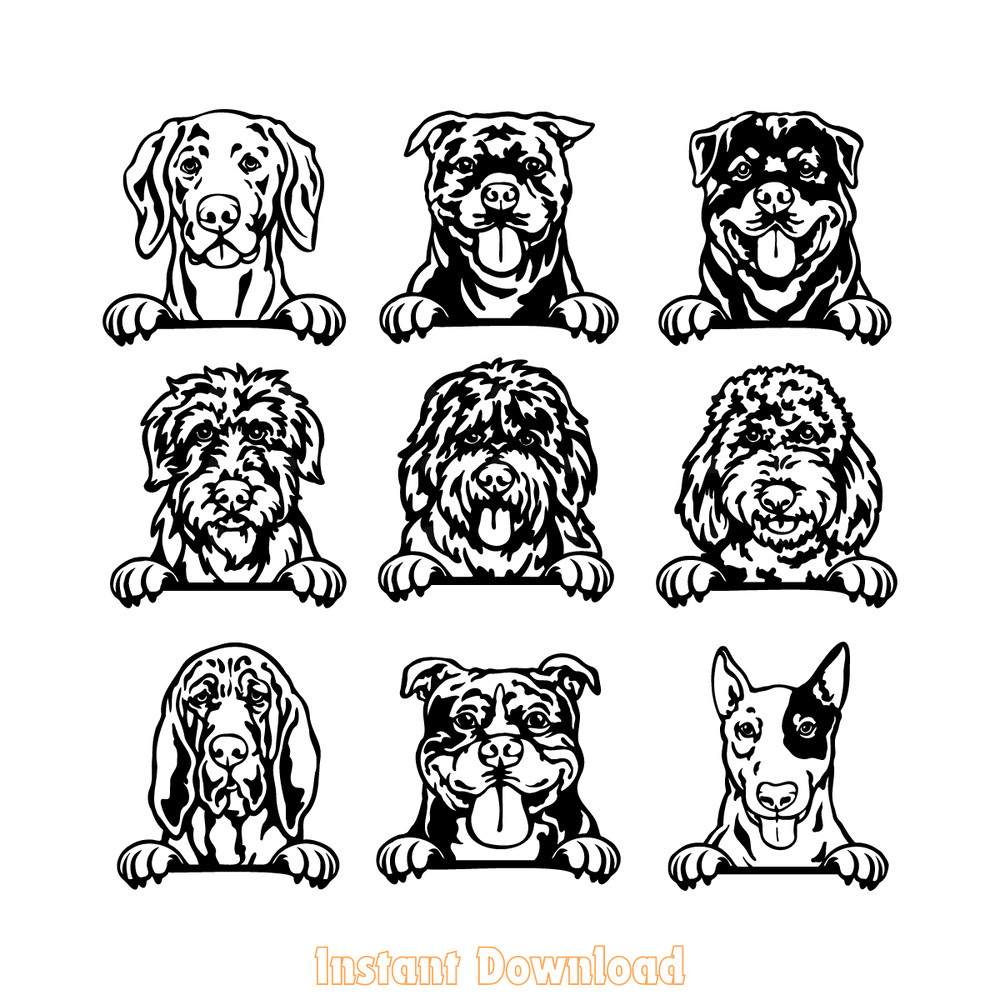 peeking-dogs-svg-rottweiler-american-bully-bloodhound-bobtail-goldendoodle-english-2188378.png