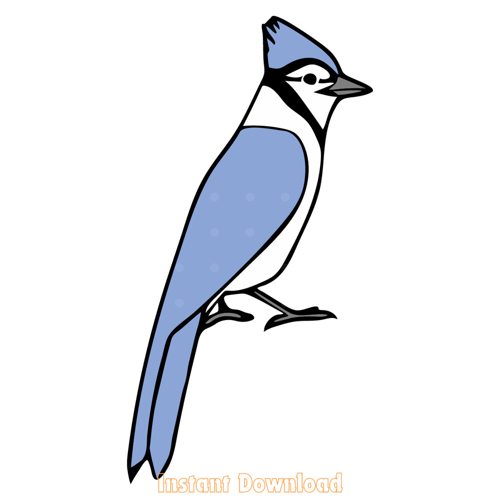 Blue-Jay-Bird-SVG-PNG-JPG-Clipart-Digital-Cut-File-2094705.png
