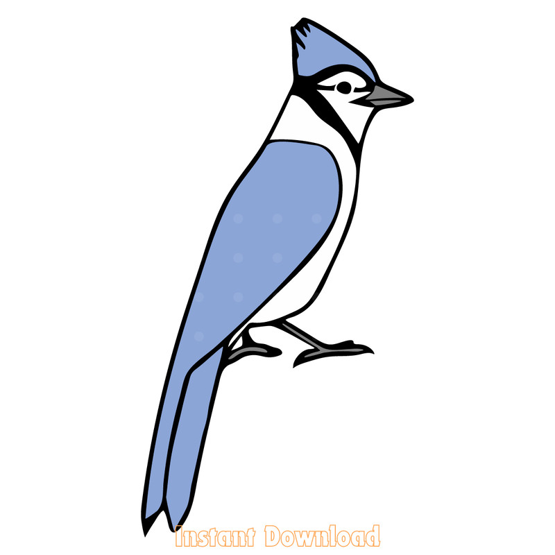 Blue-Jay-Bird-SVG-PNG-JPG-Clipart-Digital-Cut-File-2094705.png