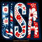 USA-Png,-Retro-America-Png,-4th-of-July-Digital-Download-PNG140624CF645.png
