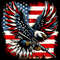 Eagle-USA-Flag-Patriotic-4th-of-July-Png-PNG140624CF805.png