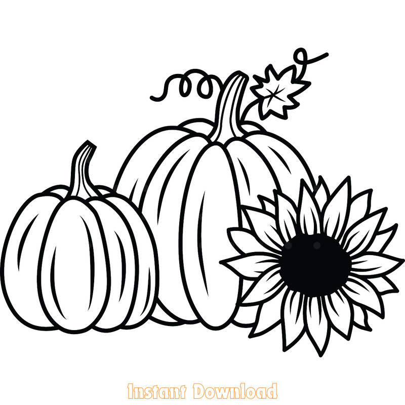 Autumn-Pumpkin-Svg,-Fall-Pumpkin-Svg-Digital-Download-Files-SVG200624CF3391.png