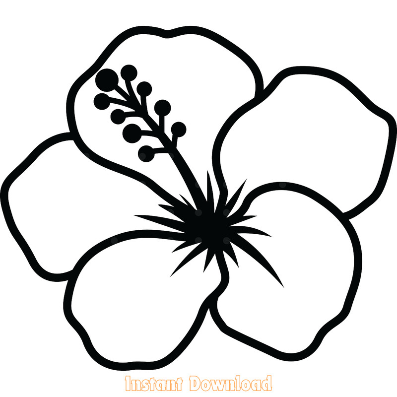 Flower-SVG-Bundle,-Flowers-SVG,-Florals-Digital-Download-Files-SVG200624CF3396.png