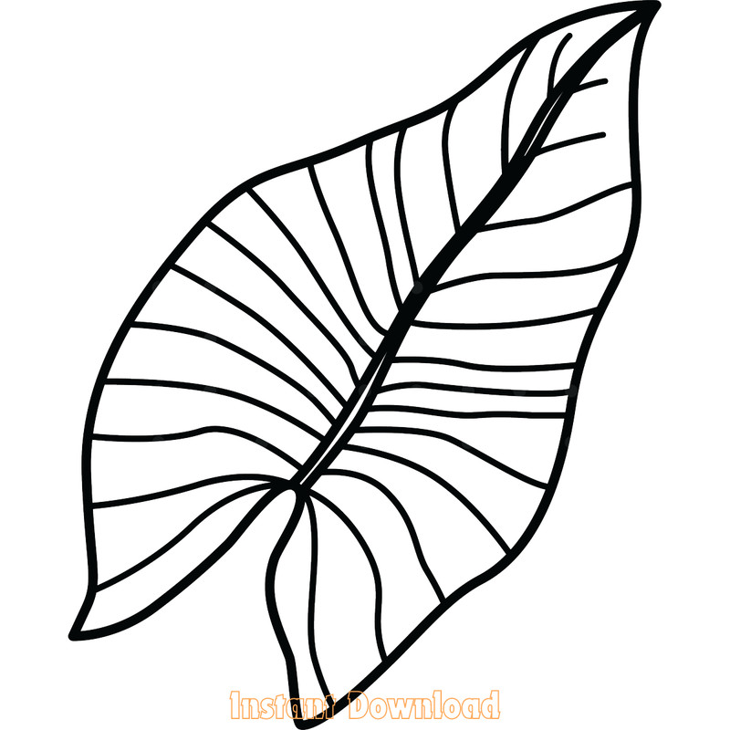 Tropical-Leaves-SVG-Jungle-Tropical-Leaf-SVG200624CF3456.png