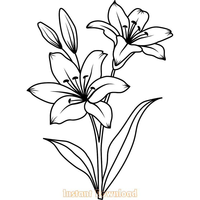 Flower-Svg-Flower-Wedding-Svg-Lily-Svg-Digital-Download-Files-SVG200624CF3605.png