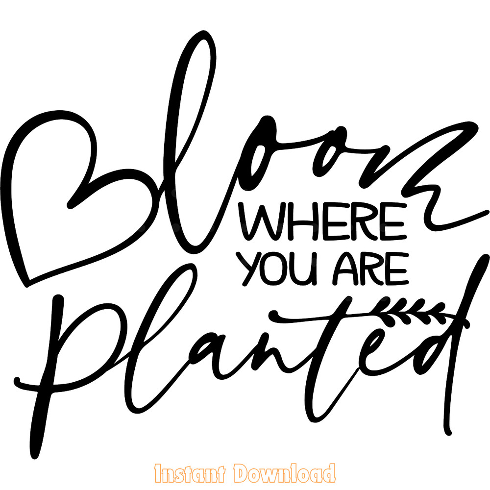 Bloom-Where-You-Are-Planted-SVG-PNG-Digital-Download-Files-SVG250624CF6139.png