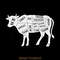 Funny-Cow-Butcher-Beef-Cuts-Diagram-Digital-Download-Files-SVG270624CF8547.png