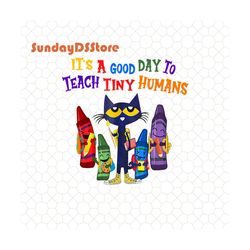 it's a good day to teach tiny humans , pre k teacher funny cat png, teach love inspire png, teacher appreciation