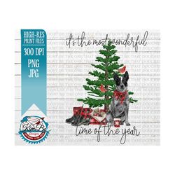 christmas it&39s the most wonderful time of the year blue heeler cattle dog australian clipart png sublimation graphics