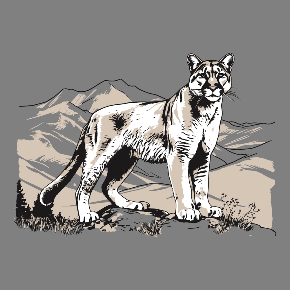 Mountain-Lion-Svg-Digital-Download-Files-1478461174.png
