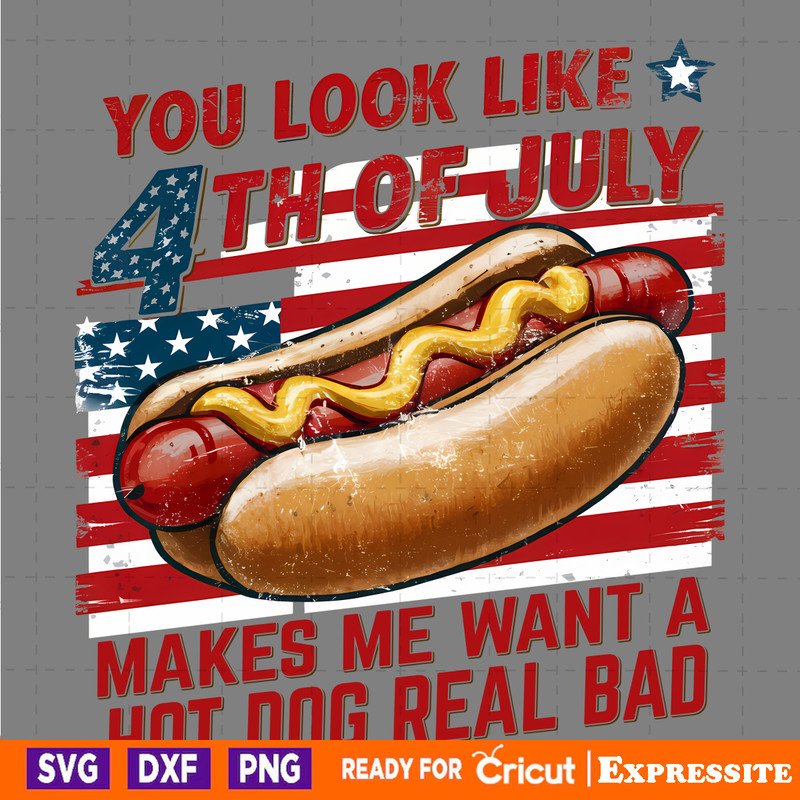 You-Look-Like-The-4th-Of-July-Hot-Dog-USA-2405241002.png