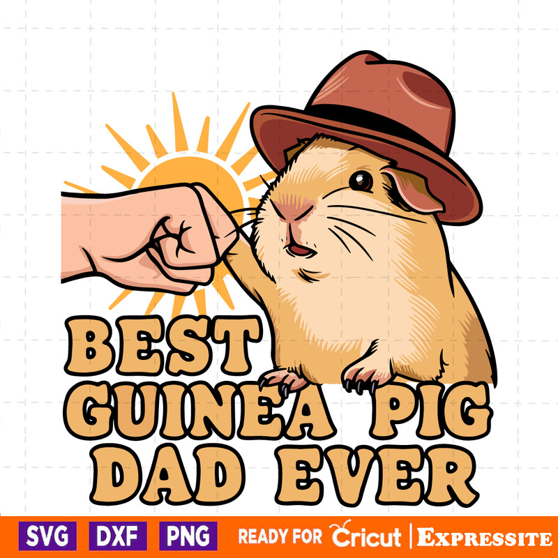 Best-Guinea-Pig-Dad-Ever-Groovy-Dad-SVG-Digital-Download-2505241039.png