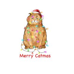 merry catmas santa hat light png