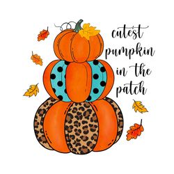 cutest pumpkin in the patch png