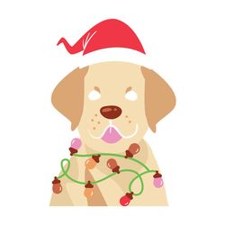 holiday dog surprise