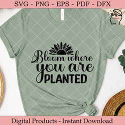 bloom where you are planted.