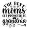 The-Best-Moms-Get-Promoted-to-Grandma-Digital-Download-Files-SVG270624CF8274.png