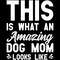 This-is-What-an-Amazing-Dog-Mom-Looks-Digital-Download-SVG270624CF8794.png