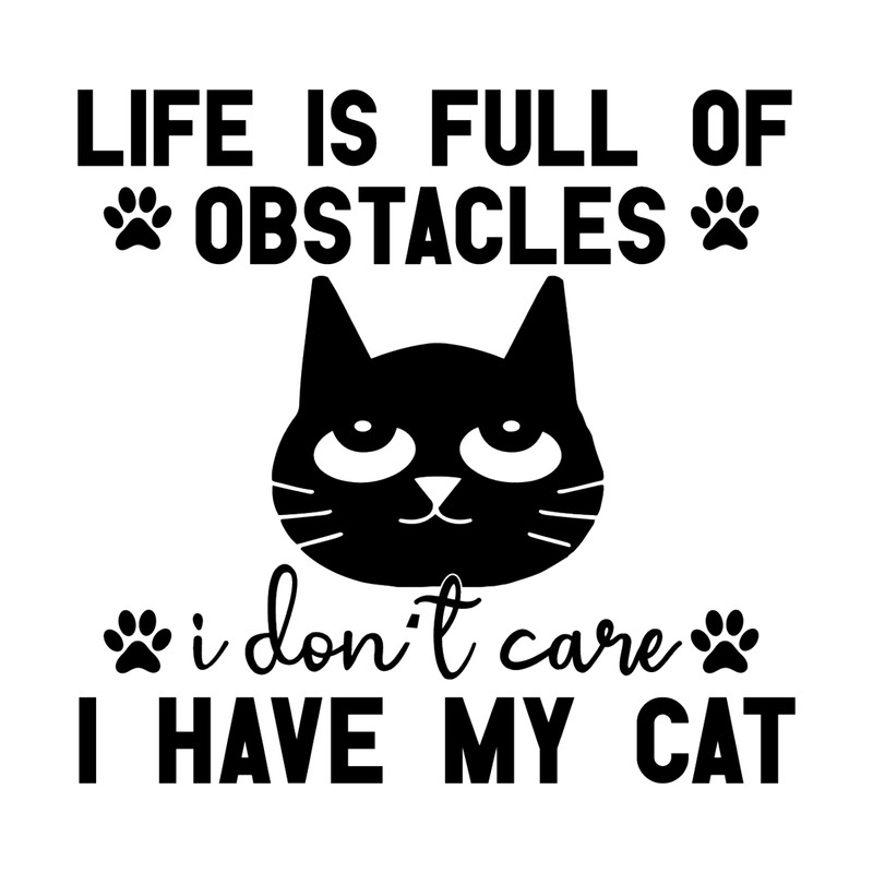 Life-is-Full-of-Obstacles-I-Don't-Care-Digital-Download-SVG280624CF9303.png