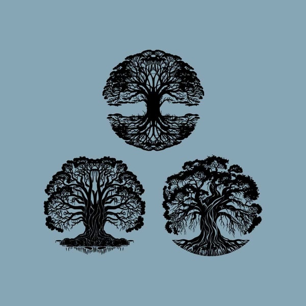 Balete Tree Ficus Sacred Fig Banyan, Epiphytic, Mysterious, - Inspire ...