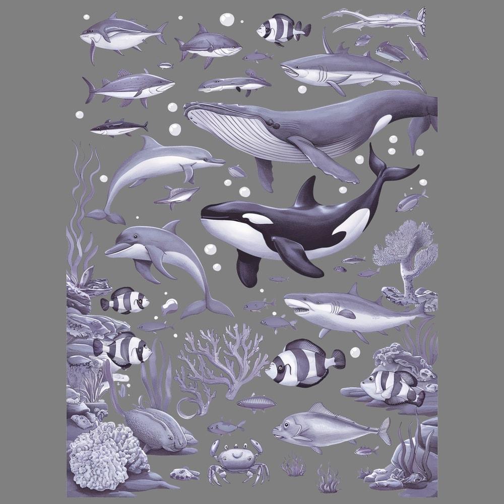 Ocean-Nature-Coral-Whale-Orca-Turtle-Dolphin-Retro-PNG-3005242028.png