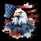 Patriotic-eagle-flag-PNG-transparent-clipart-1524847919.png