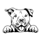 American-Pit-Bull-Svg-Digital-Download-Files-1419055234.png