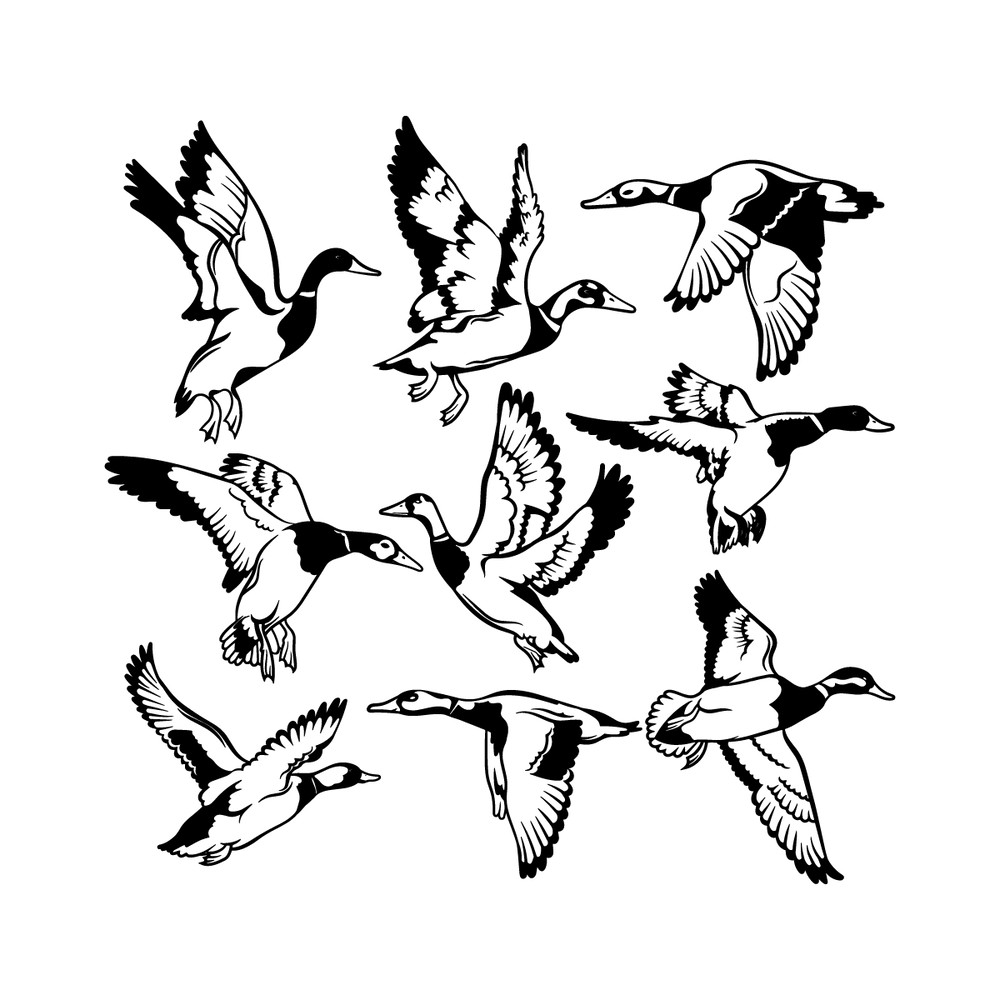 Flock-of-Birds-SVG-Vector-Digital-Download-Files-2264481.png
