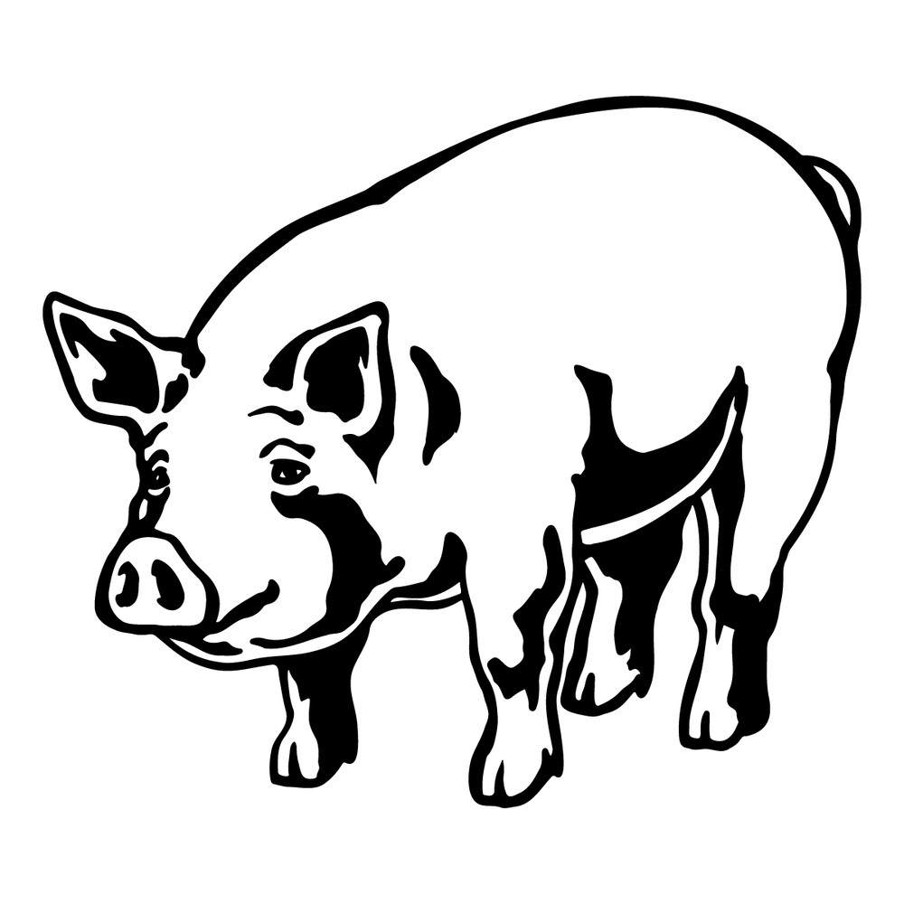 pig-svg,-pig-png,-pig-svg-cut-file-cricut,-pig-2232631.png